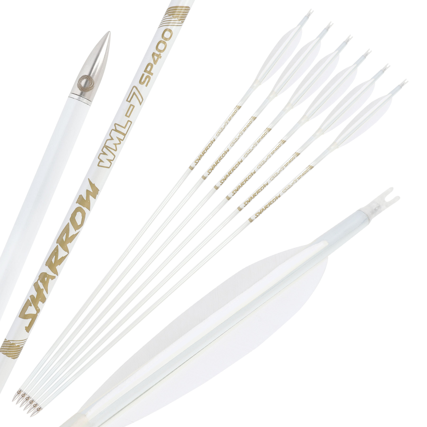 WML Carbon Arrows for Hunting Target