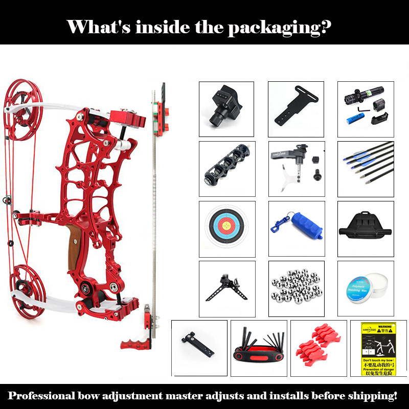 Archery Dual Compound Bow Arrow & Rapid Shooter Steel Ball