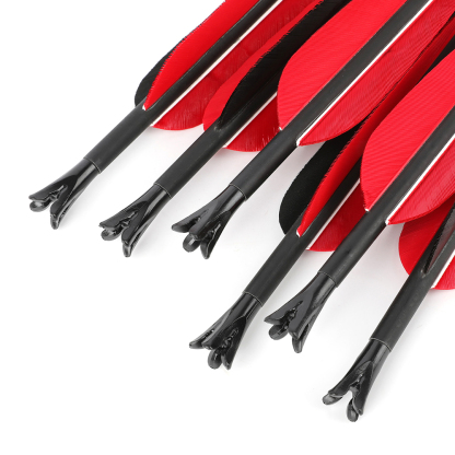 + Nocks Archery Bow - 12 Pack