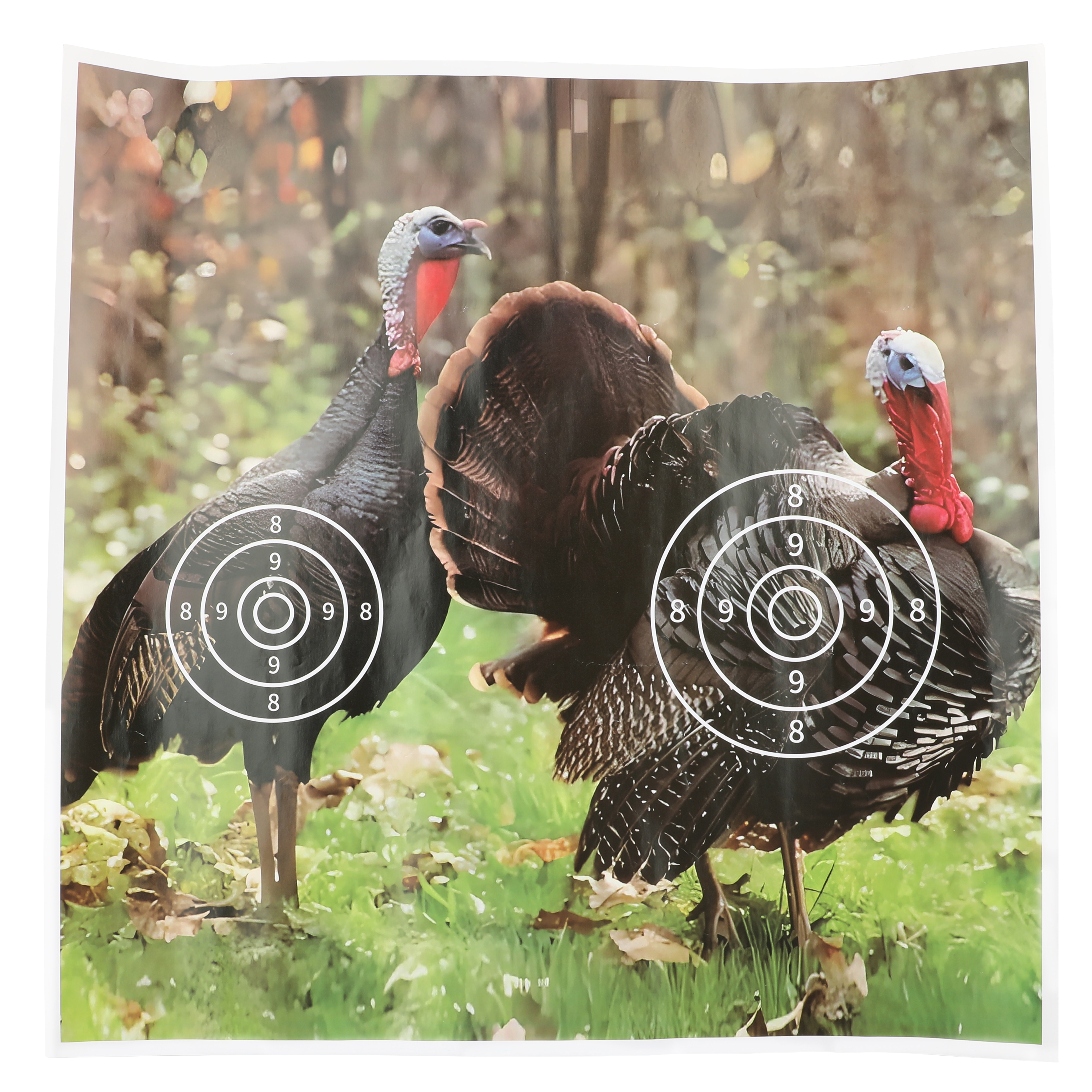 turkey ameyxgs archery target paper (12 pack)