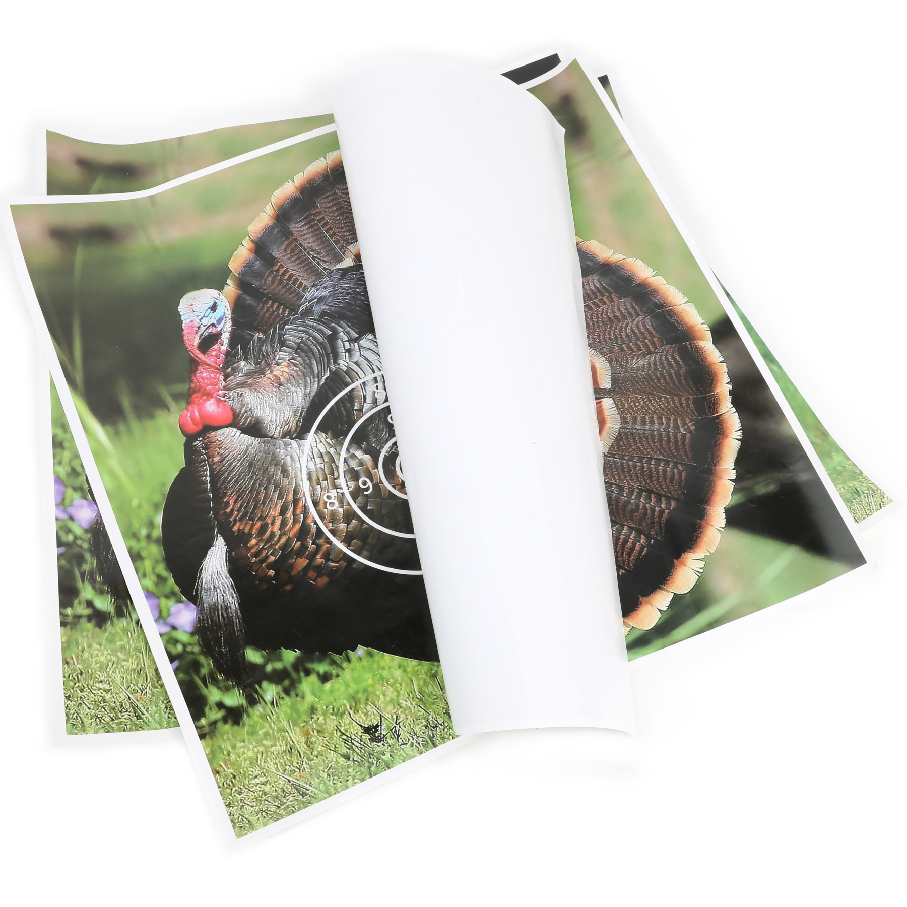 Turkey AMEYXGS Archery Target Paper (12 Pack)