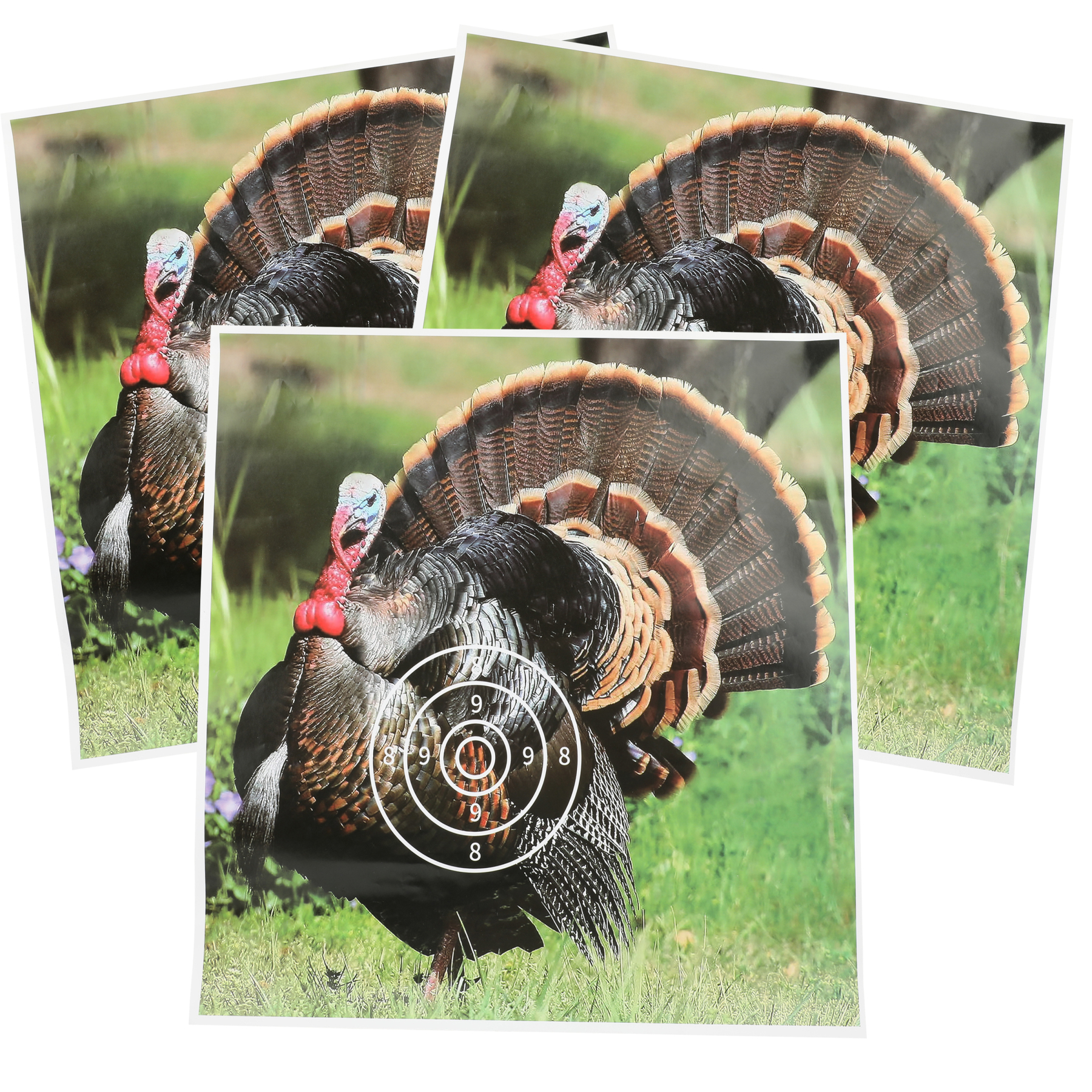 Turkey AMEYXGS Archery Target Paper (12 Pack)