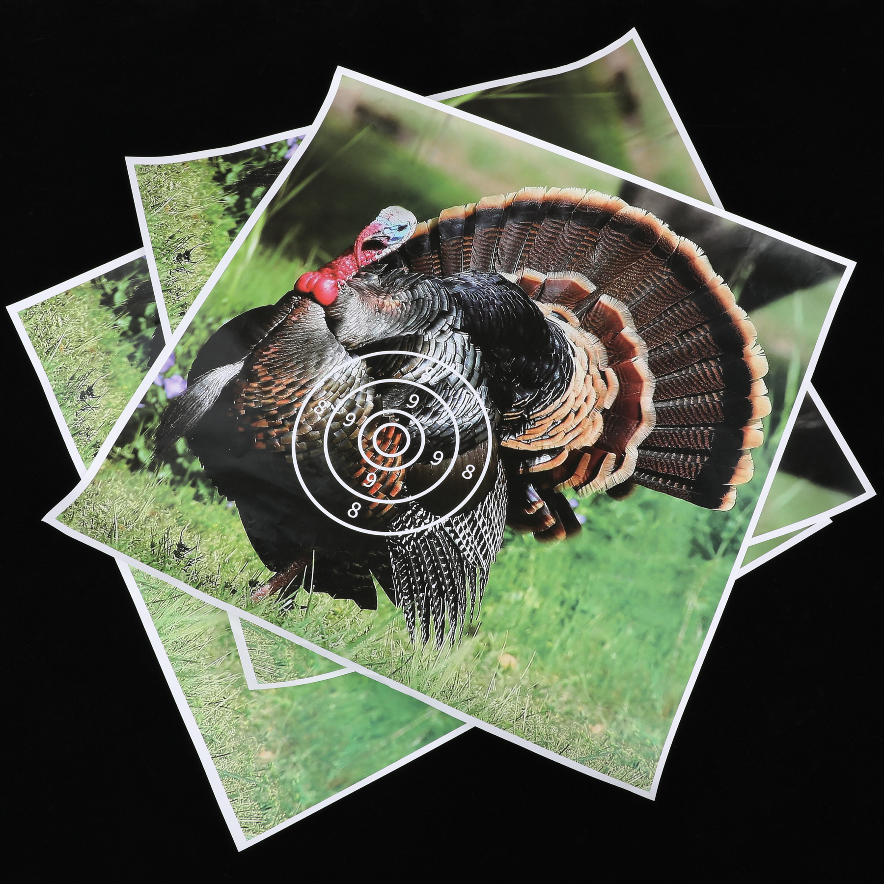 Turkey AMEYXGS Archery Target Paper (12 Pack)