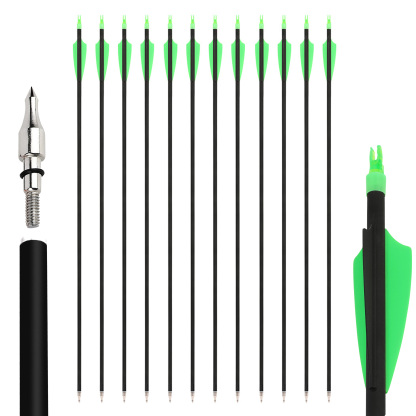 AMEYXGS Archery 30'' Carbon Arrow 500 Spine 3D Hunting Target