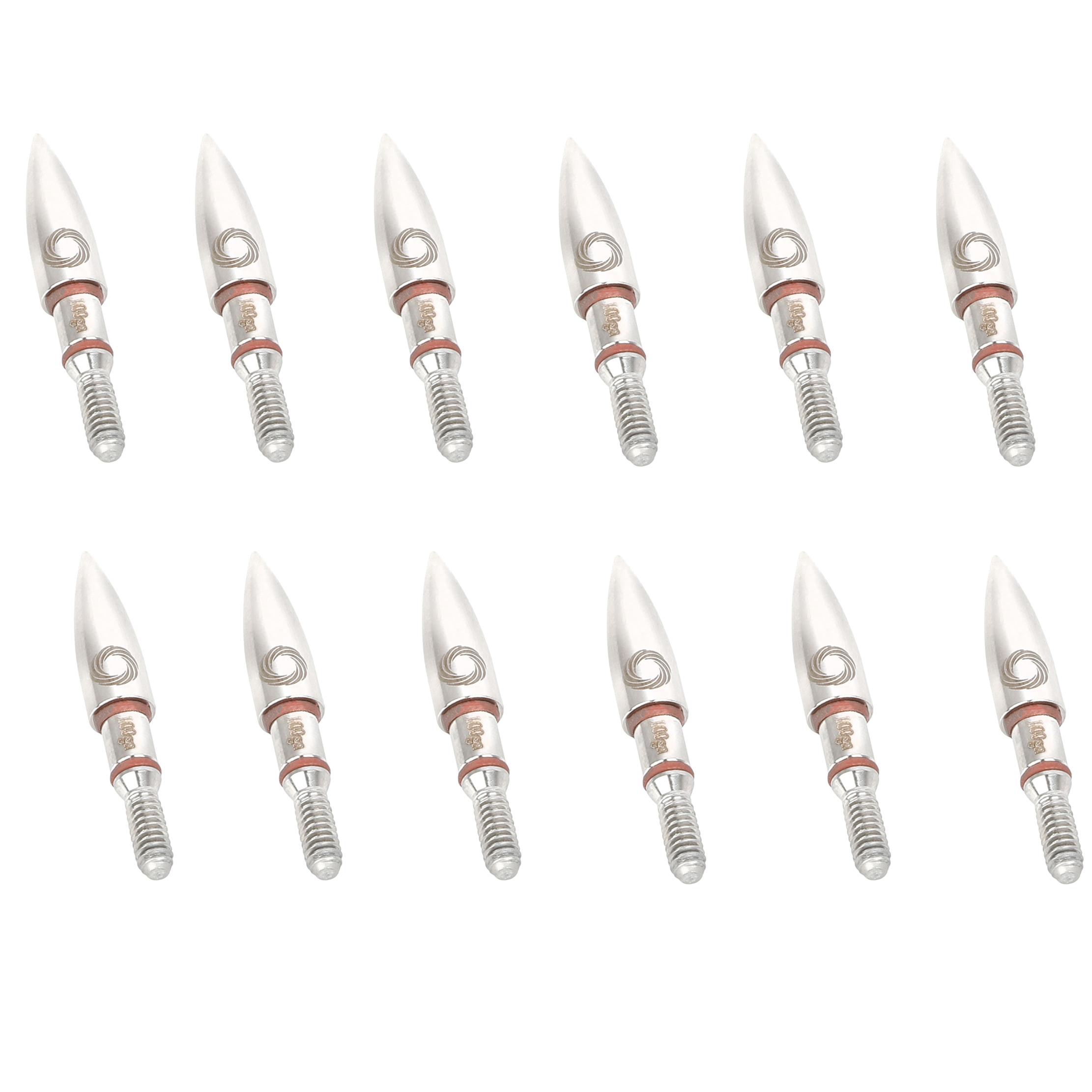 Arrowheads Point 100 grains for Hunting Target
