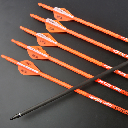 Bloodsport Archery Arrows Hunter 