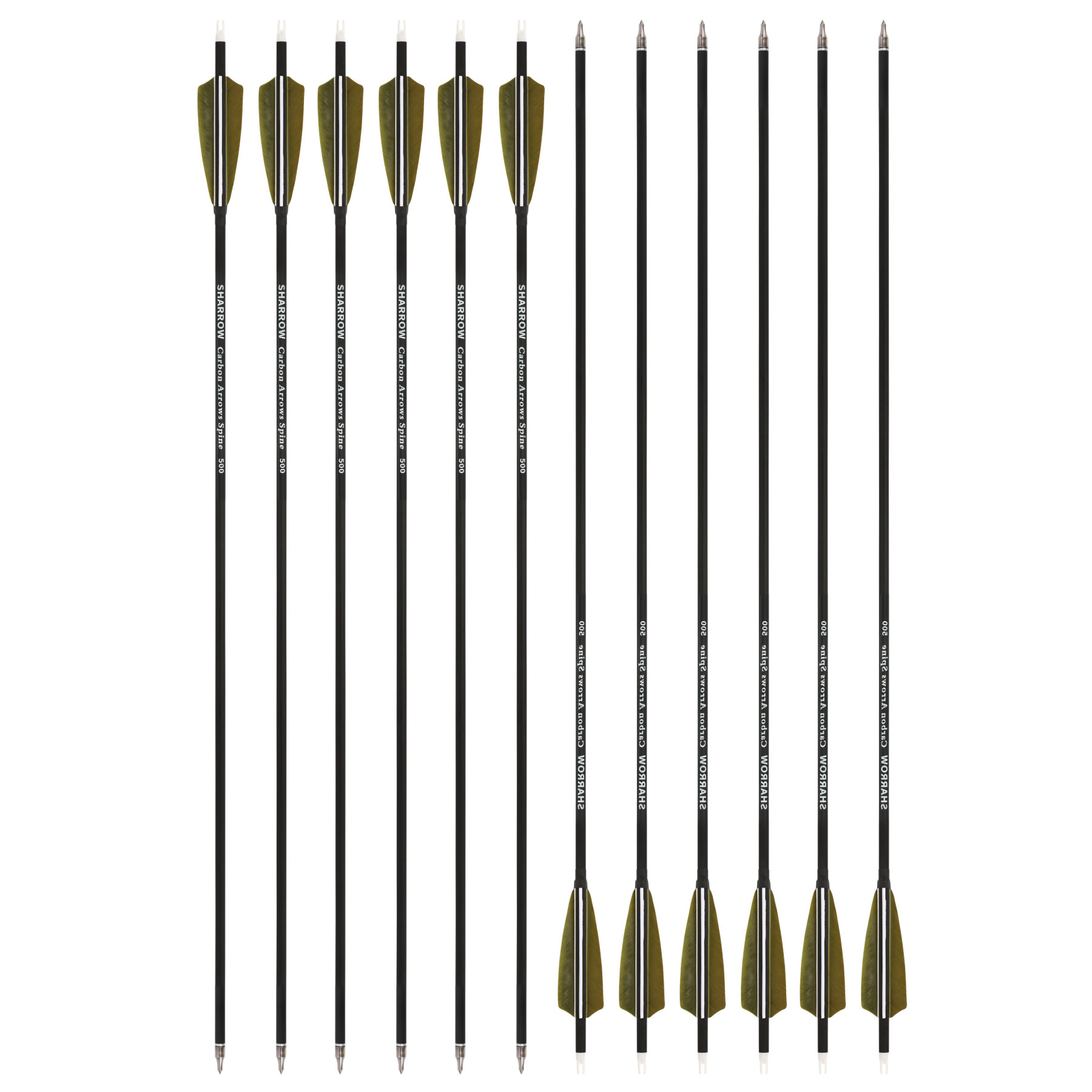 Carbon Arrow with 4inch Turkey Feather for Archery Hunting