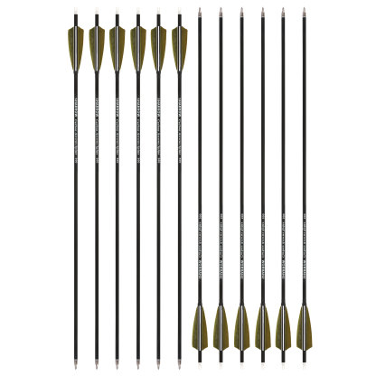 Carbon Arrow with 4inch Turkey Feather for Archery Hunting