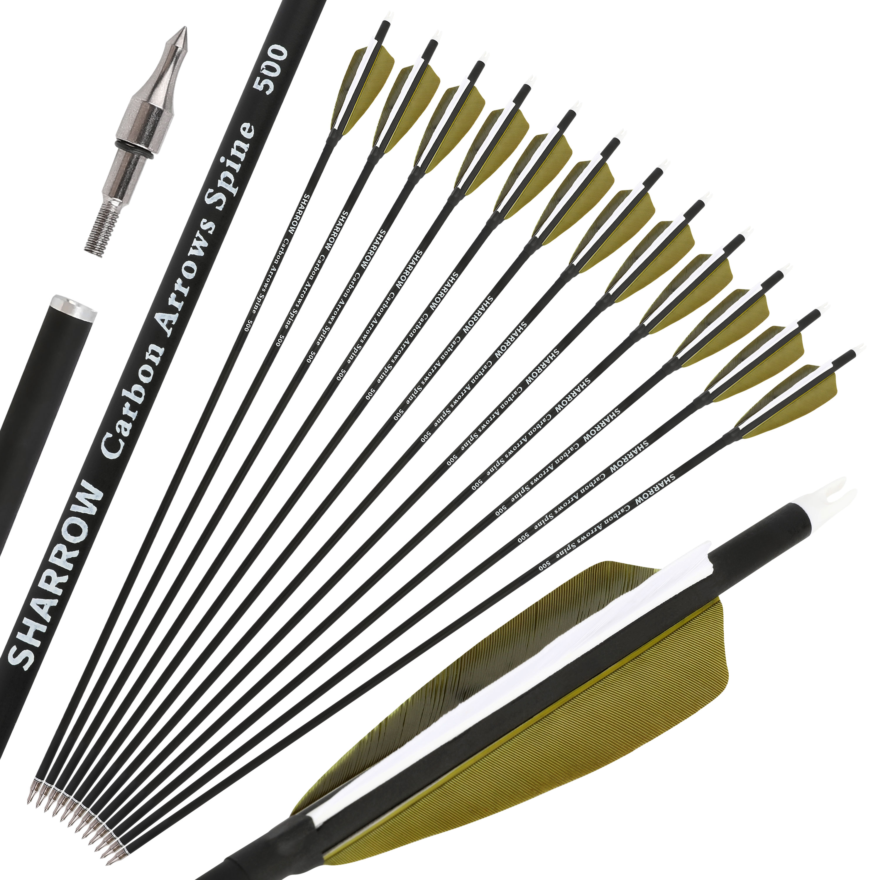 Carbon Arrow with 4inch Turkey Feather for Archery Hunting