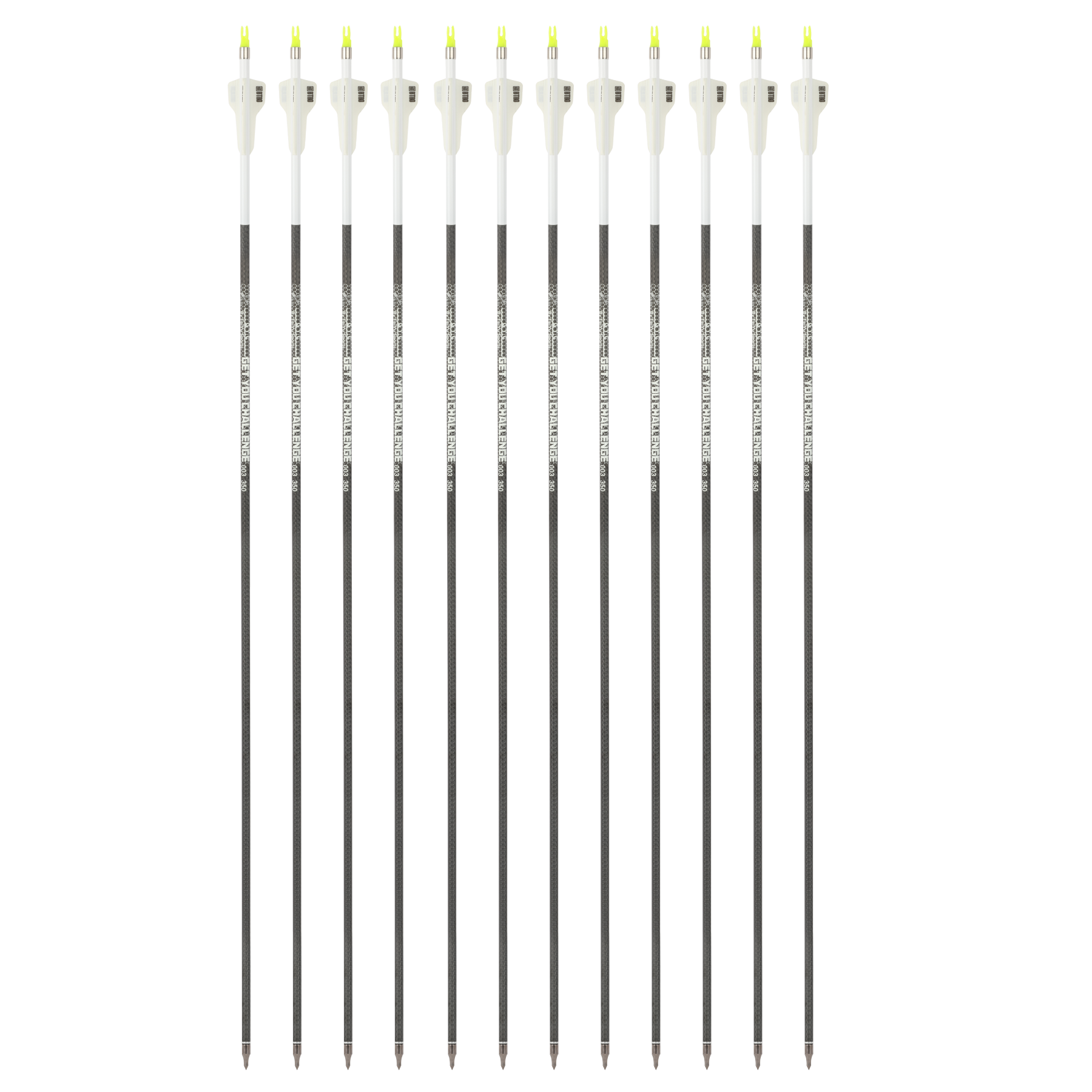BTRO Archery Arrow 32" Pure Carbon Arrows Hunting & Target