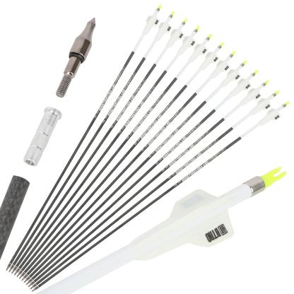 BTRO Archery Arrow 32" Pure Carbon Arrows Hunting & Target
