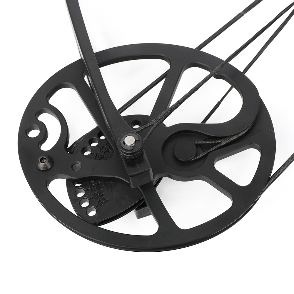 38-7 lbs Compound Bow Arrow Set IBO 150-202FPS Archery