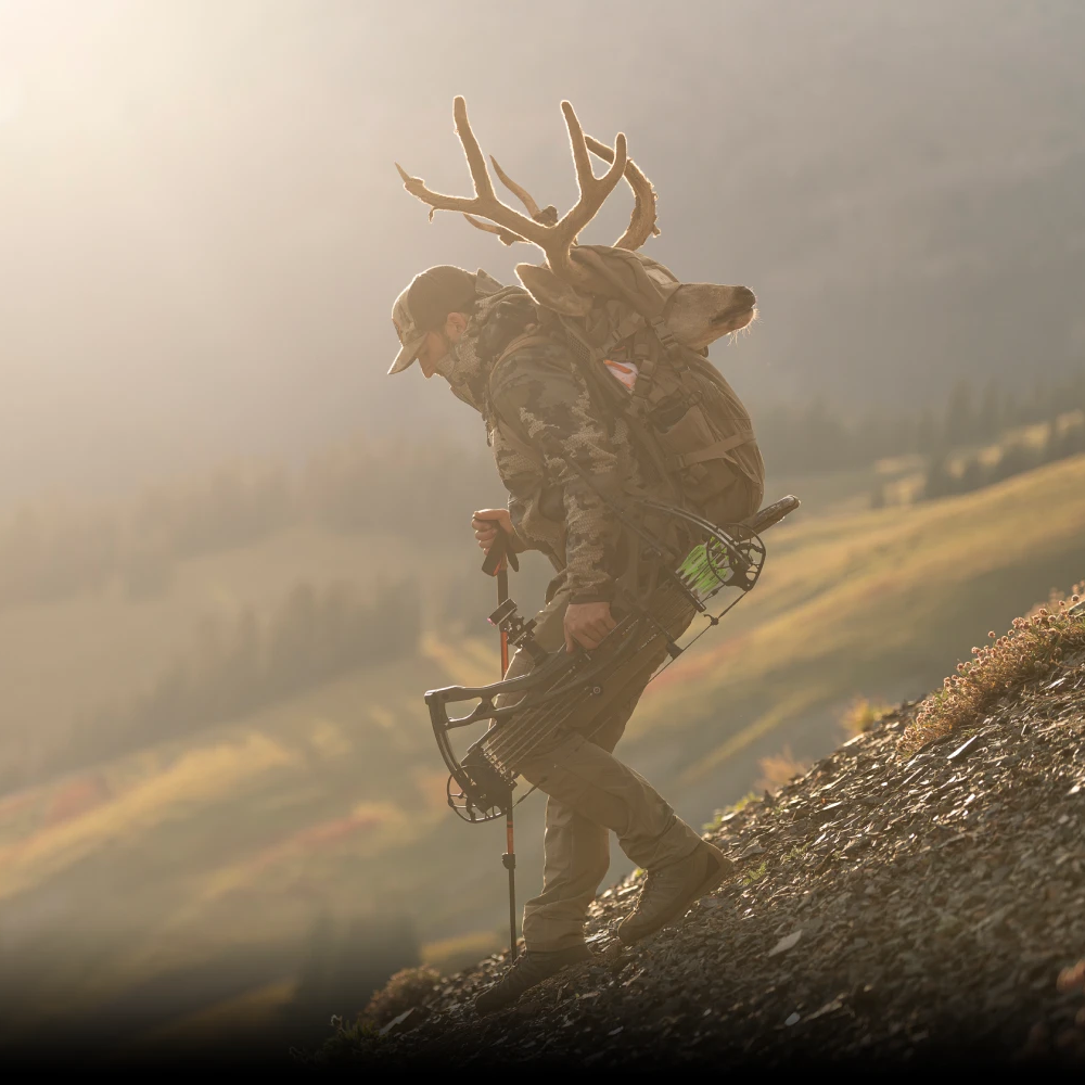 Hoyt