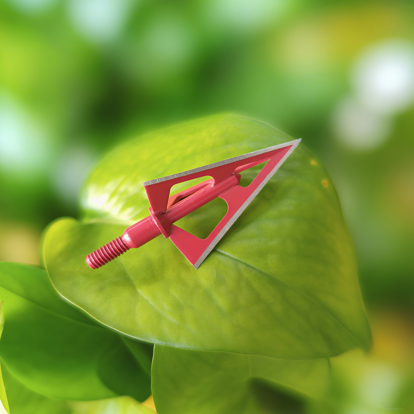 3 Blade Broadheads Archery Hellrazor Screw-In 