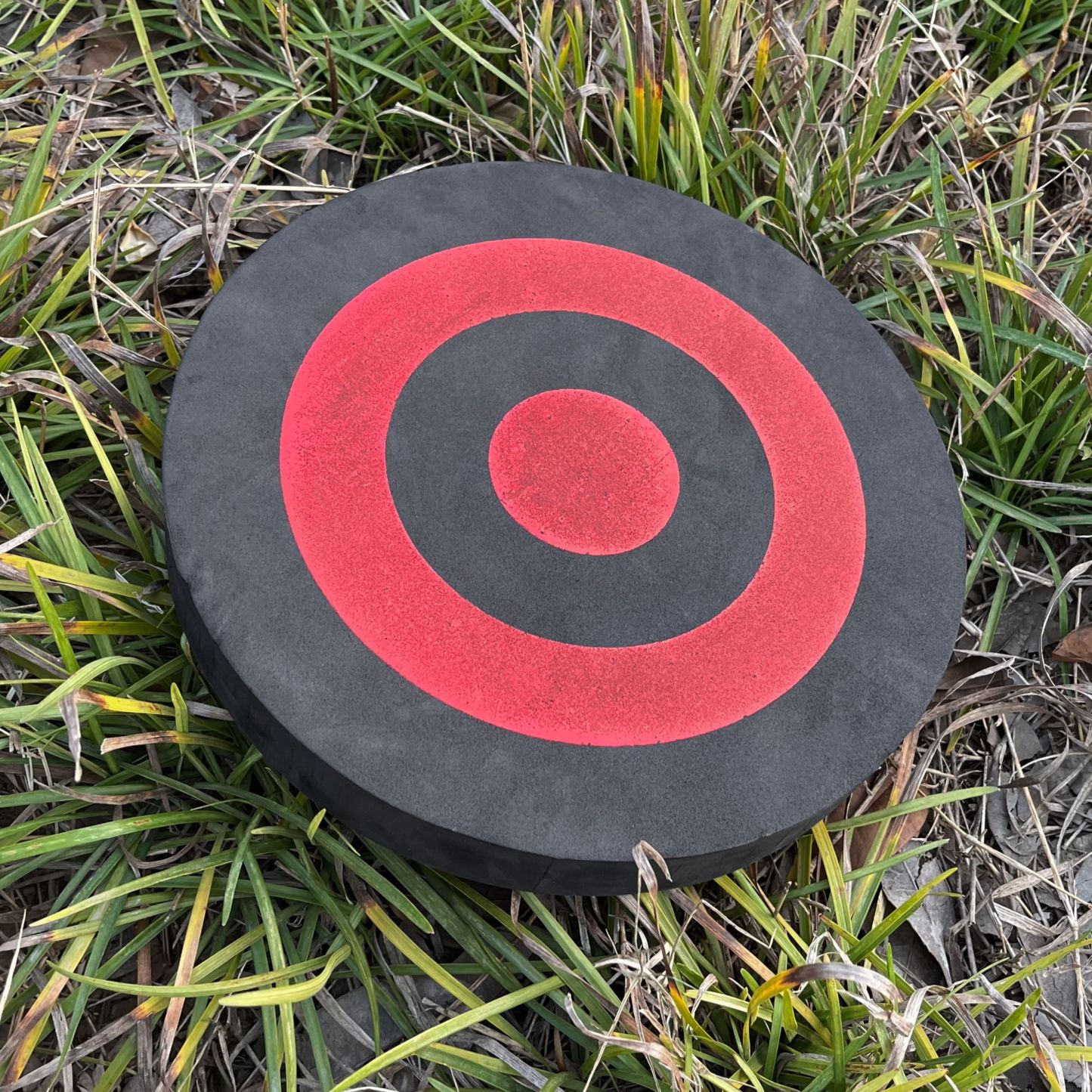 16 Mini Compound Bow Set 16lbs – Adult Target Shooting Practice Kit