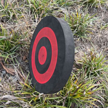 16 Mini Compound Bow Set 16lbs – Adult Target Shooting Practice Kit