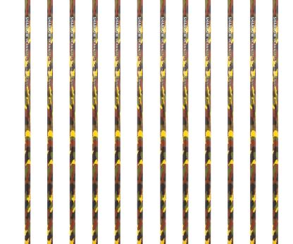 Crossbow-Bolts-Carbon Hunting Arrows with 4" Vanes Replaced Arrowhead(12 Pack)-AMEYXGS Archery