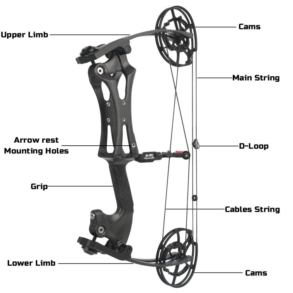 Compound Bow and Arrow Set Hunting & Archery with Accessories