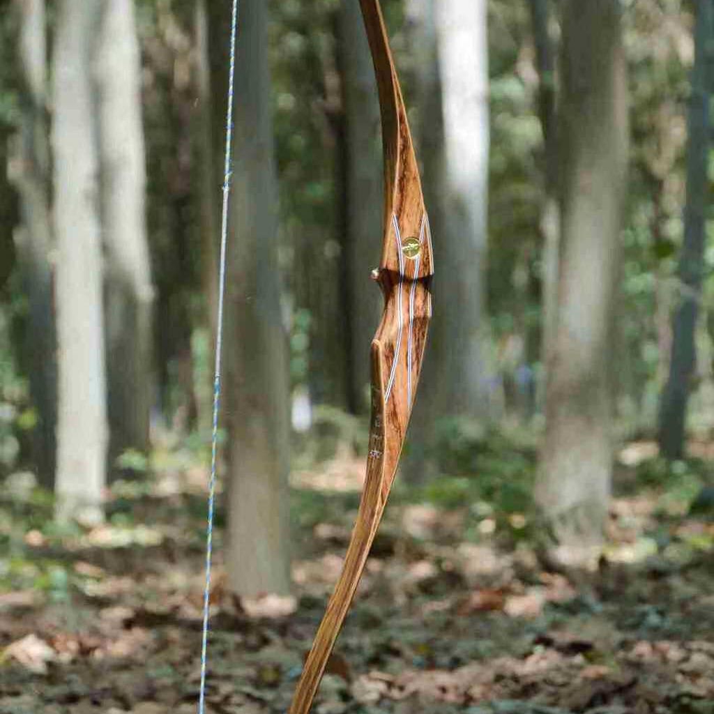 AMEYXGS Flame Series Hunting Bow, American Longbow, Purple & Blue