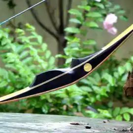 AMEYXGS Flame Series Hunting Bow, American Longbow, Purple & Blue