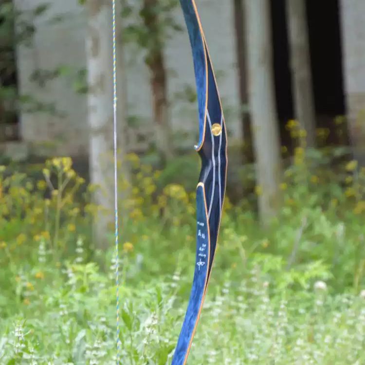 AMEYXGS Flame Series Hunting Bow, American Longbow, Purple & Blue