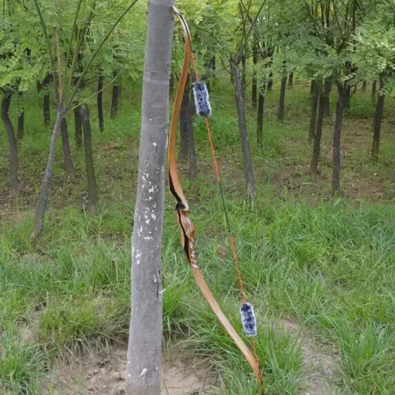Tuying Laminated Recurve Bow – Customizable Hunting Bow
