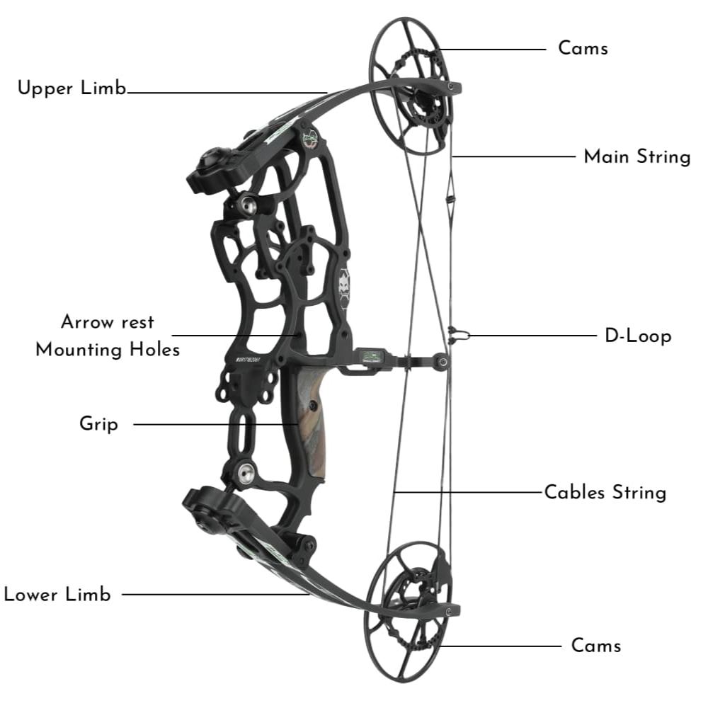 Draw Weight 30-70LBS Dual Use Compound Bow Set Shooting 