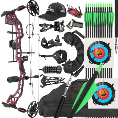 Compound Bow and Arrows Kit Hunting 30-70lbs