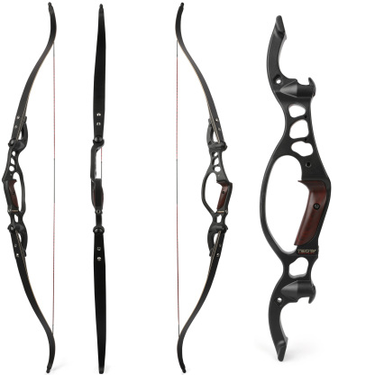 HOYT Shark Archery 64inch Recurve Bow Hunting