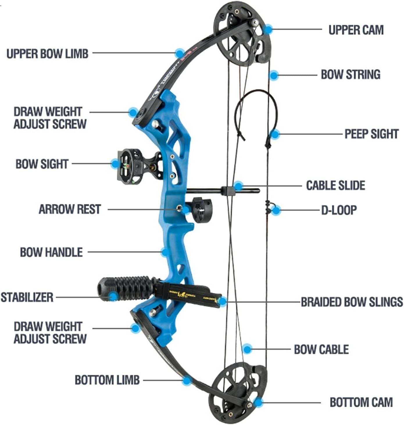 🎯TOPOINT ARCHERY M3 Compound Bow Package for Beginners Junior&kids ,10-30Lbs Adjustable-AMEYXGS Archery