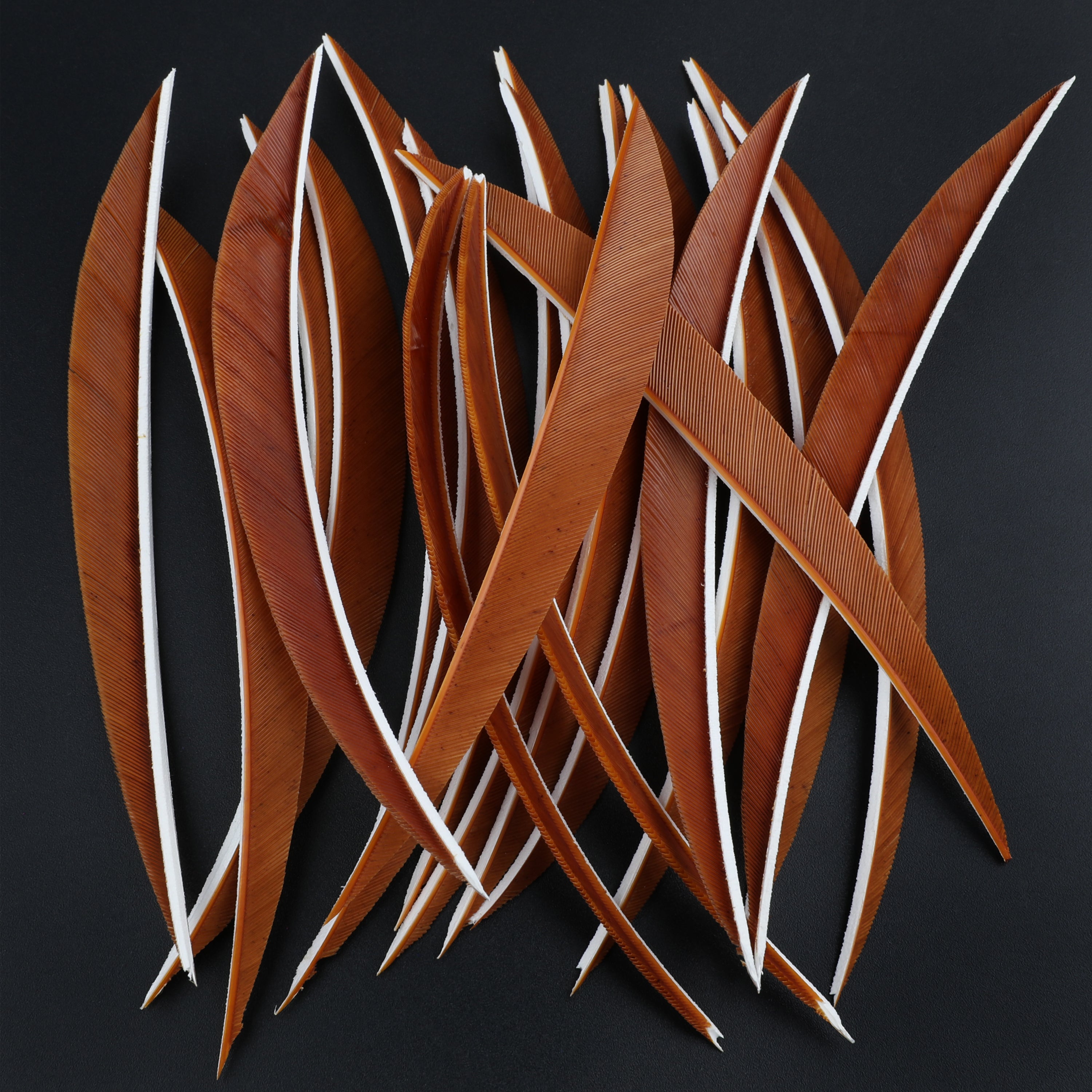 🎯5 Inch Archery Arrow Feather Turkey Feathers-AMEYXGS Archery