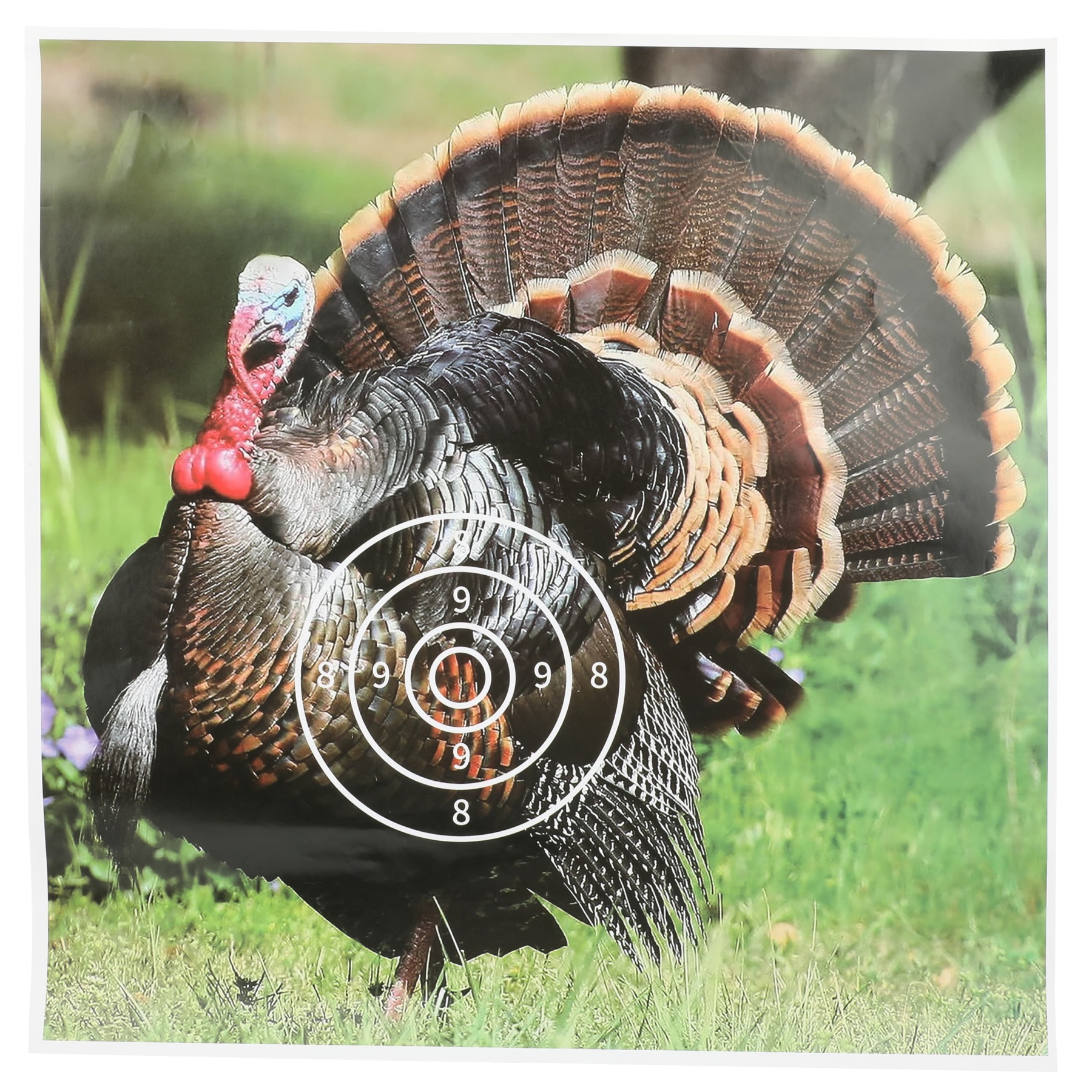Turkey AMEYXGS Archery Target Paper (12 Pack)