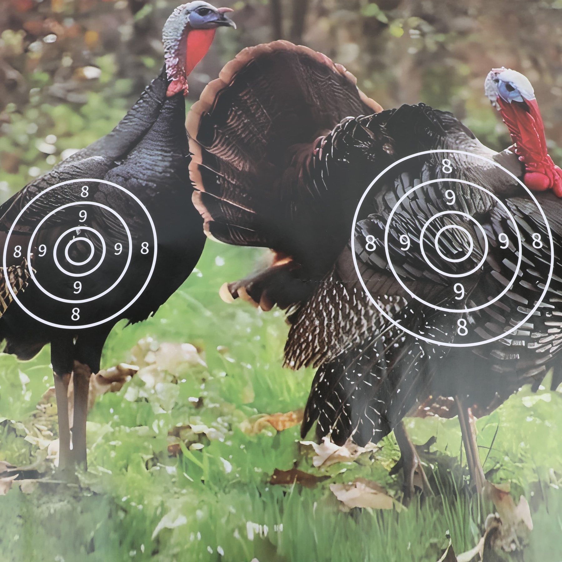 Turkey AMEYXGS Archery Target Paper (12 Pack)
