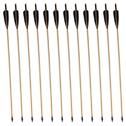 🎯12pcs Wooden Arrows for Traditional Bow-AMEYXGS Archery