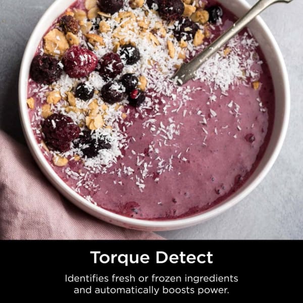 Nintheja Detect™ Duo® Power Blender Smoothie Maker with BlendSense™
