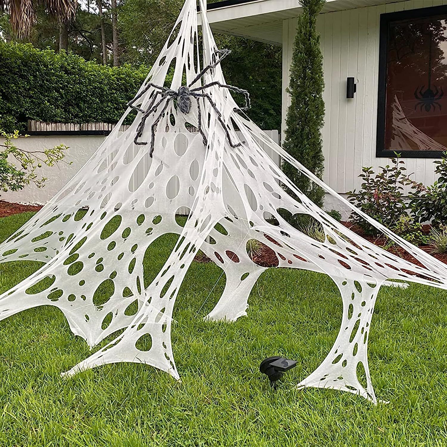 Halloween spider web