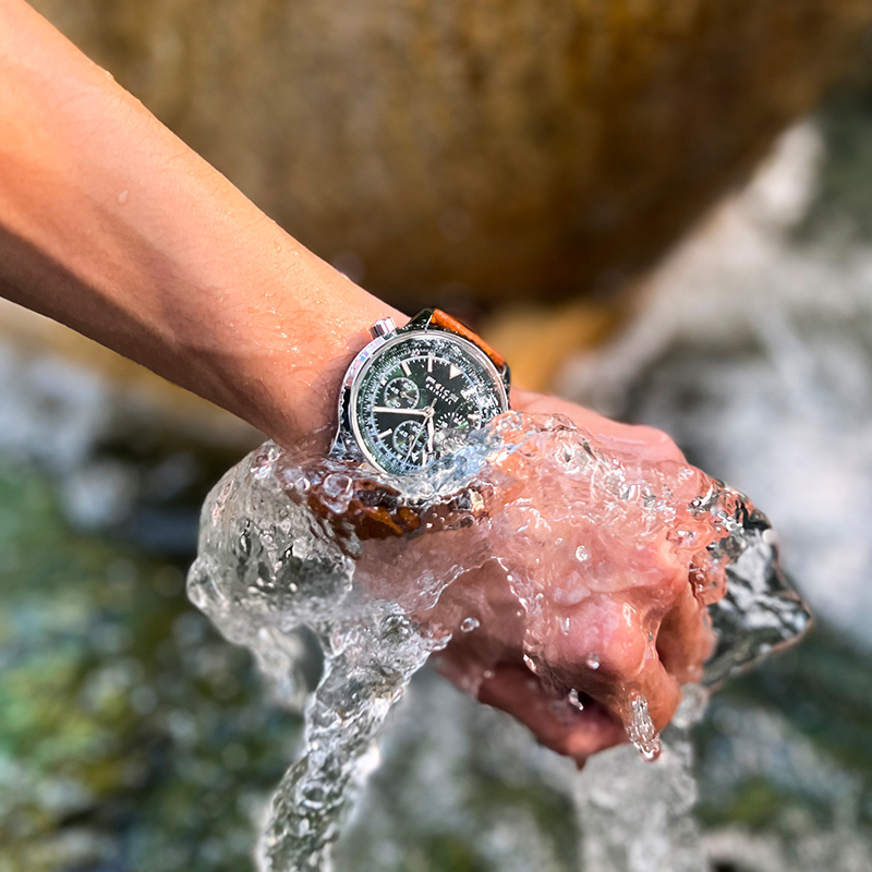 Green Wanderer - FK812