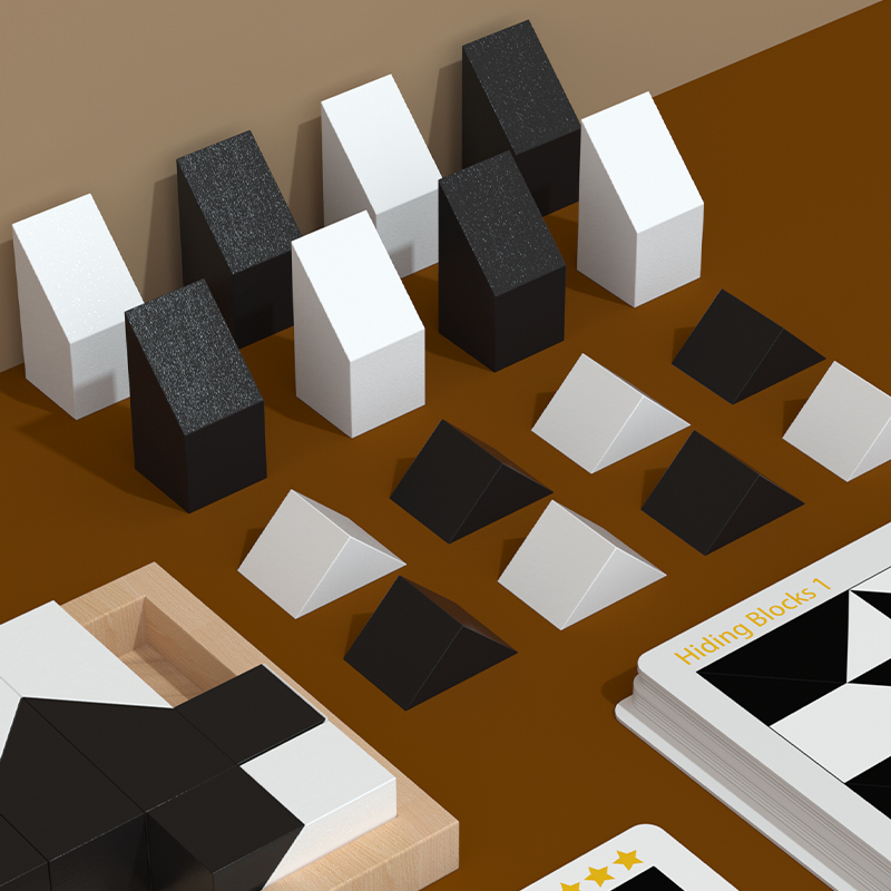 Wooden Logic Puzzle “Hide Building Blocks” | Montessori Brain Training Toy for Wholesale & OEM