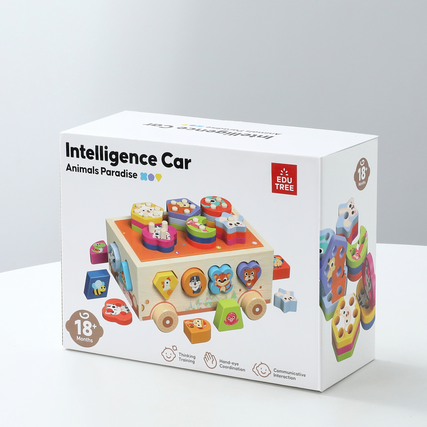 Wooden Intelligence Car