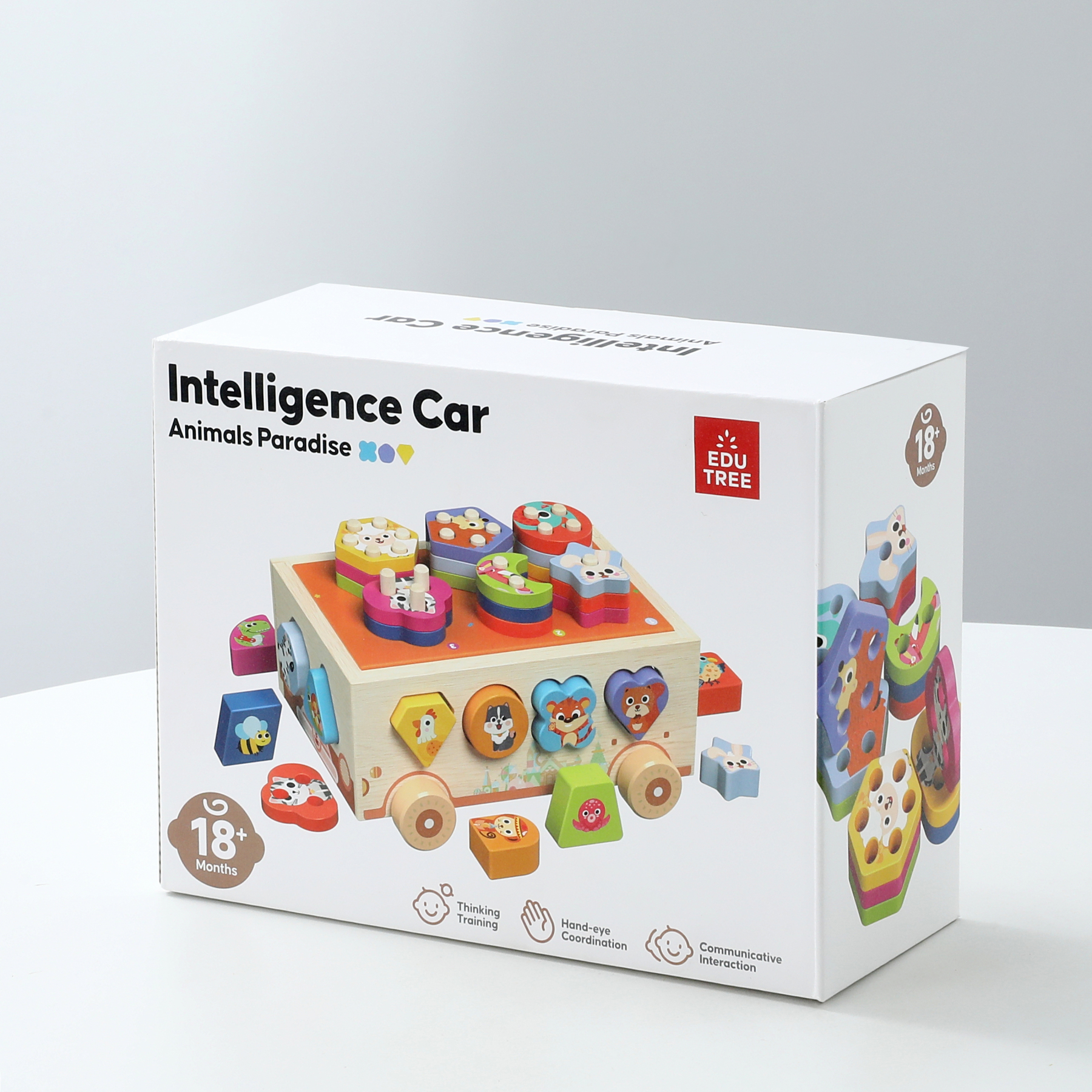 Wooden Intelligence Car