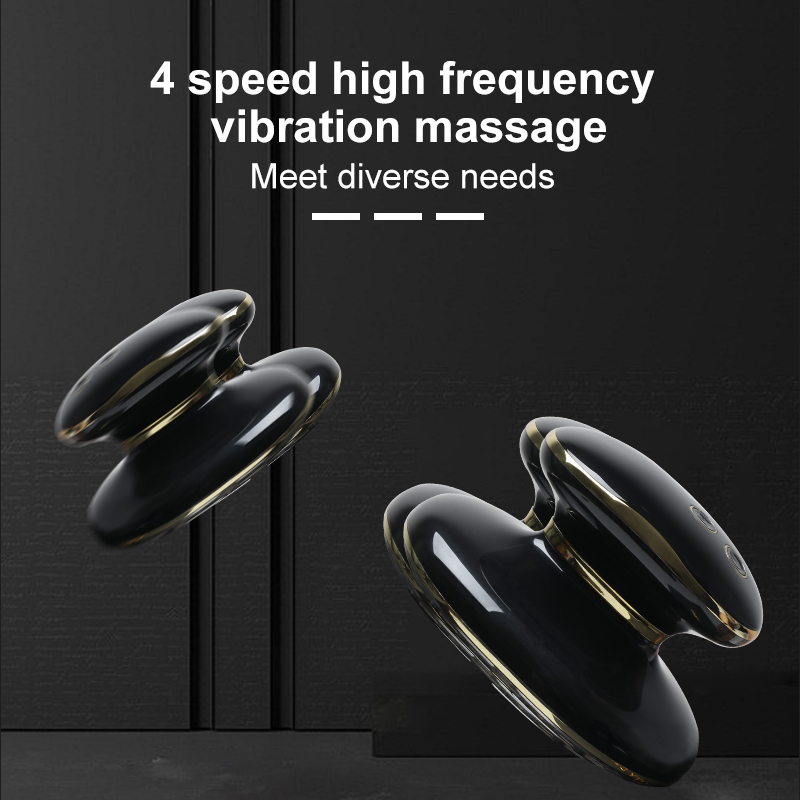 Aolemon AO819 Multifunctional Beauty Device 2-in-1 Skin Improvement & Fat Reduce For Home Use