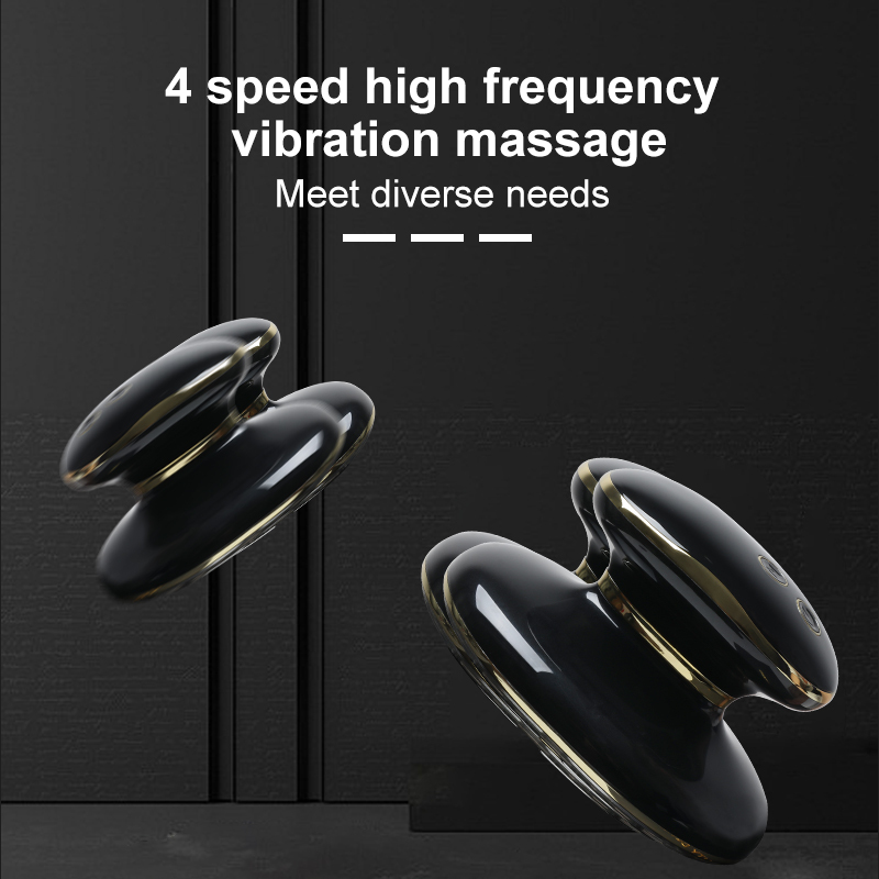 Aolemon AO819 Multifunctional Beauty Device 2-in-1 Skin Improvement & Fat Reduce For Home Use