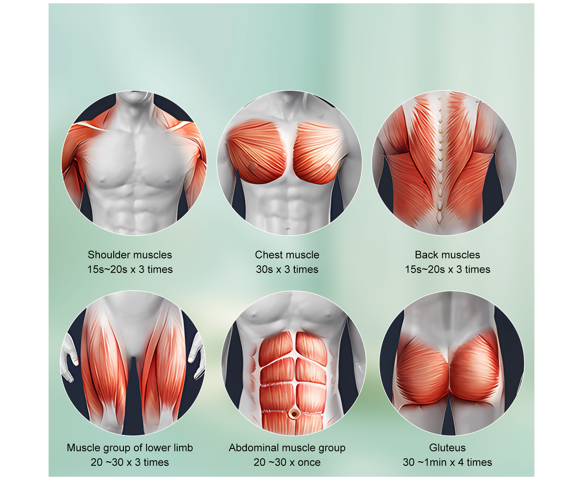 {"default":"best mini massage gun"}