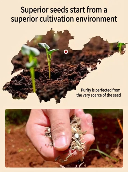 🌸95% germination rate! 18,000 seeds turn your balcony into a sea of flowers instantly. 20 rare varieties, cold & heat resistant, even beginners can grow them with 1 spray and succeed! 🌱