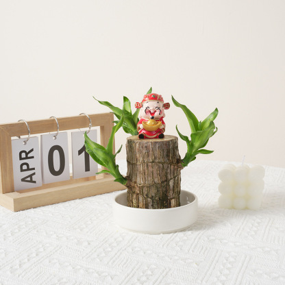 Low-Maintenance Fortune-Bringing Greenery 🌿! Brazilian Lucky Wood ✨, 99% Survival Rate 📈, Limited-Time Offer ⏳