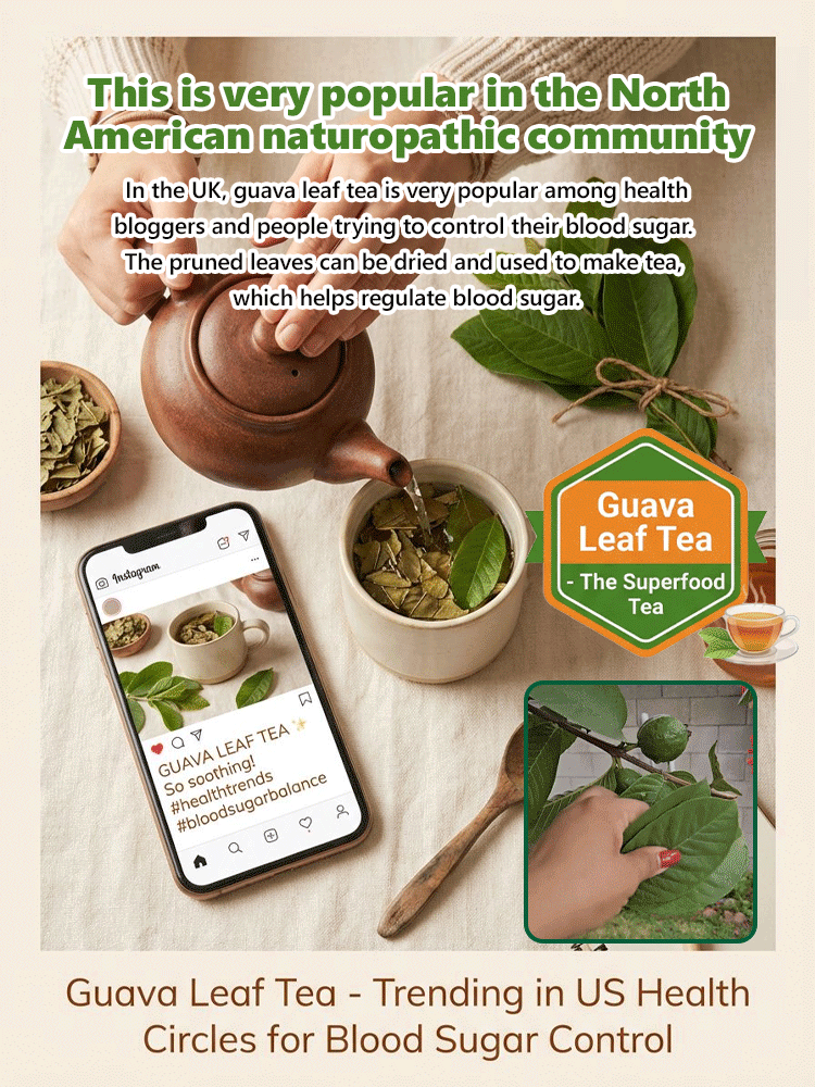 🌳Lab-grown red heart guava sapling, cold-resistant down to -5℃, extremely high vitamin C content, 30-day survival guarantee, full refund if dead🔥