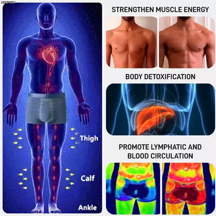 Men’s Bio-Therapy Magnetic Briefs – 3D Fit, Prostate & Vitality Care (UK Tested)