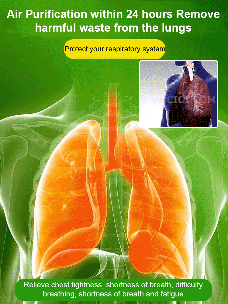 Low-Maintenance Fortune-Bringing Greenery 🌿! Brazilian Lucky Wood ✨, 99% Survival Rate 📈, Limited-Time Offer ⏳