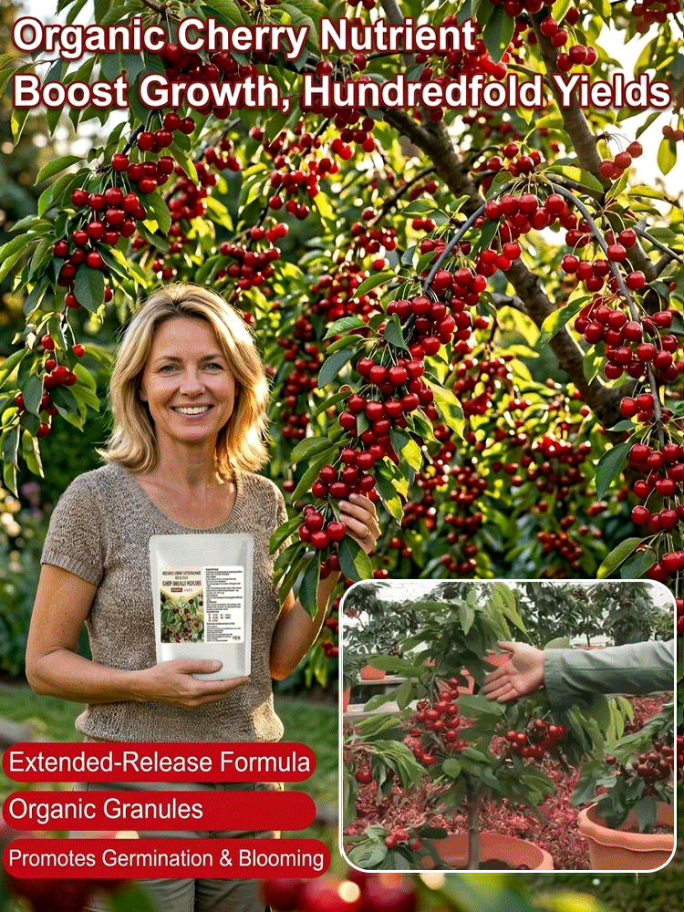 🍒 Say Goodbye to Overpriced Supermarket Cherries! 🍒USDA-Certified Fertilizer Exclusively Formulated for CherriesHigh Phosphorus & Potassium Blend Boosts FloweringWatch Your Harvest Explode!