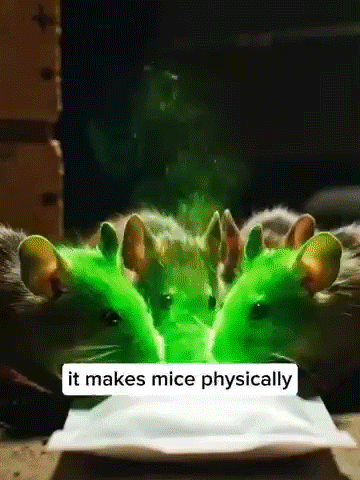 ⚠️ Beware of Hantavirus 🐭！Skip expensive rodent control services 💰! Natural Mouse Repellent Packs 🎍, non-toxic & safe, save you $500 on pest control 💸!